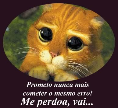 Sinto Muito imagem 9