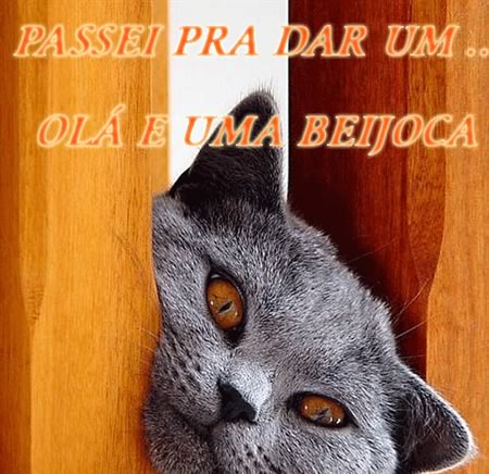 Passei para Deixar um Beijo imagem