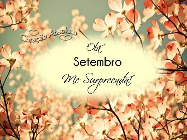 Olá Setembro, me surpreenda!