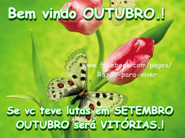 Bem vindo Outubro! Se você teve lutas em setembro, Outubro será...