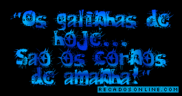 Os galinhas de hoje... são os cornos de amanhã!