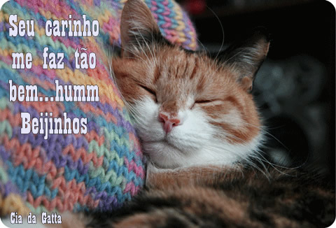 Seu carinho me faz tão bem... humm Beijinhos