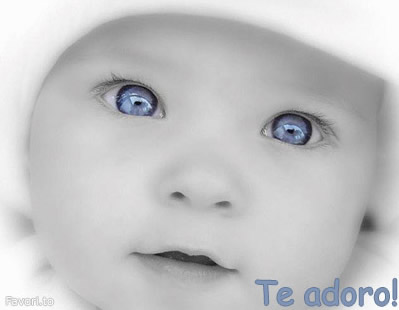 Te Adoro imagem 16