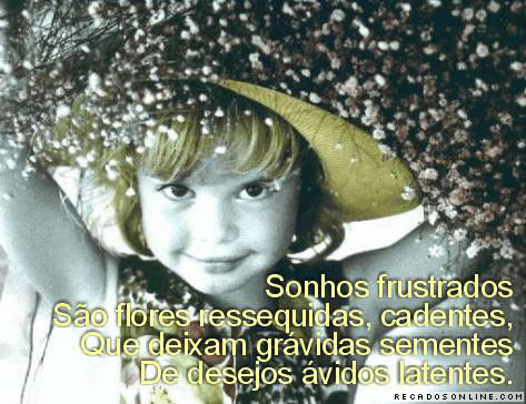 Sonhos frustrados São flores ressequidas, cadentes Que deixam...