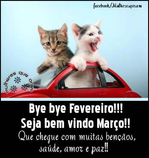 Bye bye Fevereiro!!! Seja bem vindo Março!! Que cheque com muitas...