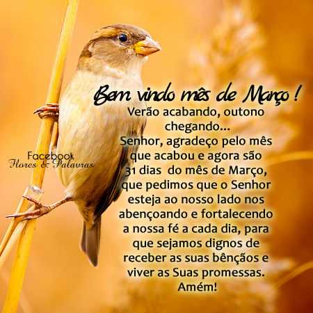 Bem vindo, mês de Março! Verão acabando, outono...