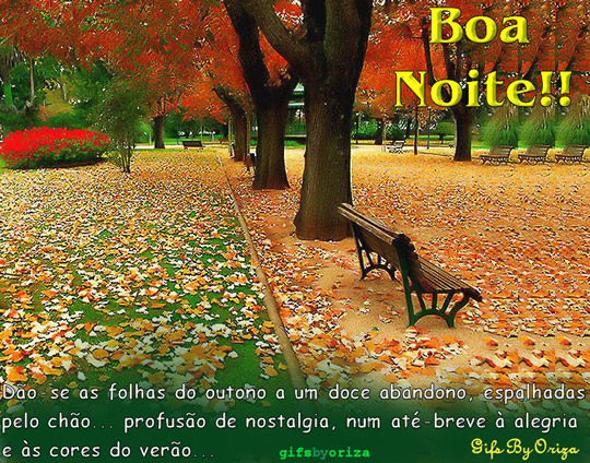 Início do Outono imagem 16