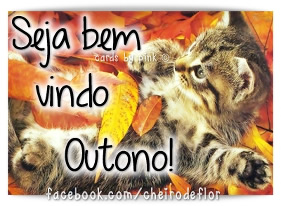 Seja bem vindo, Outono!