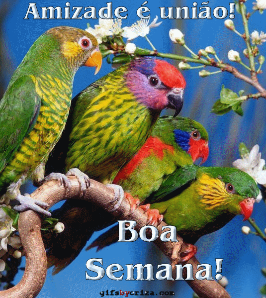 Amizade é união! Boa Semana!