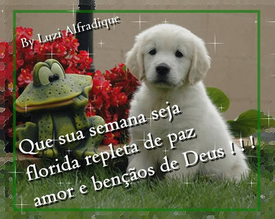 Que sua semana seja florida repleta de paz, amor e...