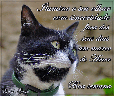 Ilumine o seu olhar com sinceridade faça dos seus dias um marco de...