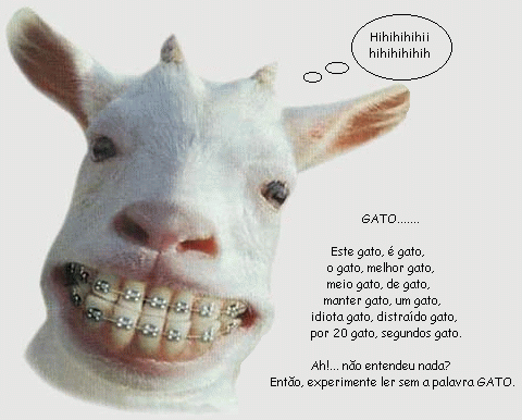 Hihihihihih Gato Este gato, é gato, o gato, melhor gato, meio gato...