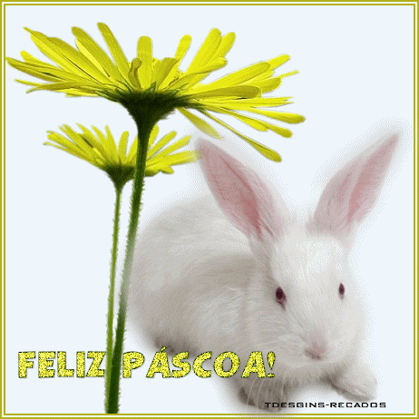 Feliz páscoa!