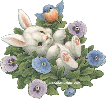 Coelhinho da Páscoa