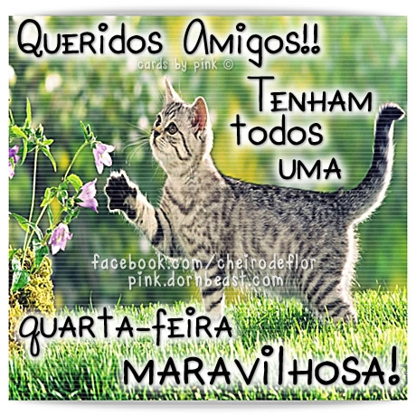 Queridos amigos!! Tenham todos uma Quarta-Feira maravilhosa!