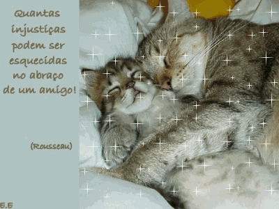 Quantas injustiças podem ser esquecidas no abraço de um amigo...