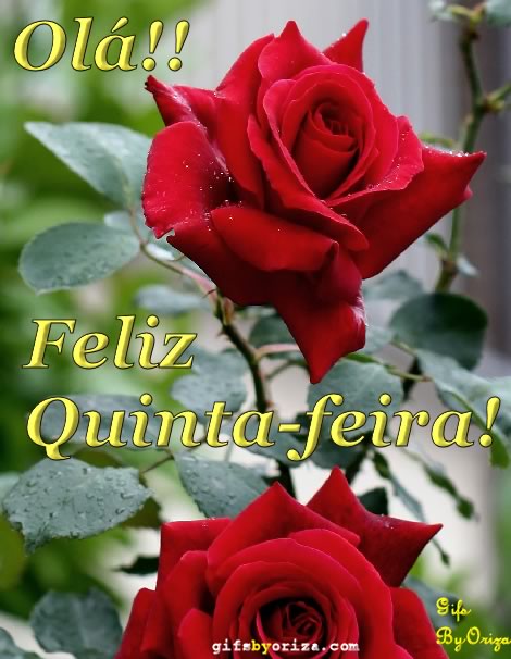 Olá! Feliz quinta-feira!