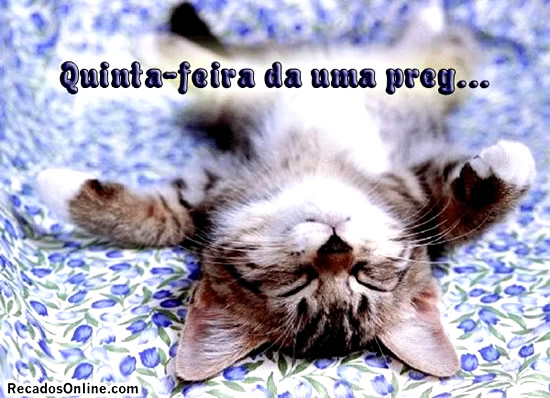 Quinta-feira da uma preg...