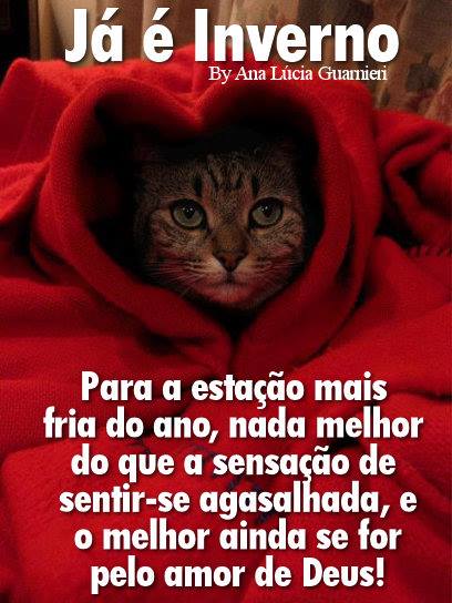 Já é inverno Para a estação mais fria do ano...