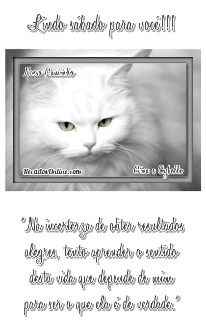 Lindo sábado para você!!! "Na incerterza de obter...