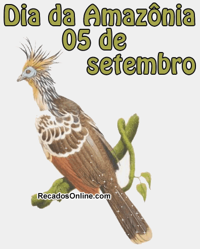Dia da Amazônia 5 de Setembro