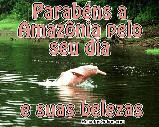 Parabéns a Amazônia pelo seu dia e suas belezas