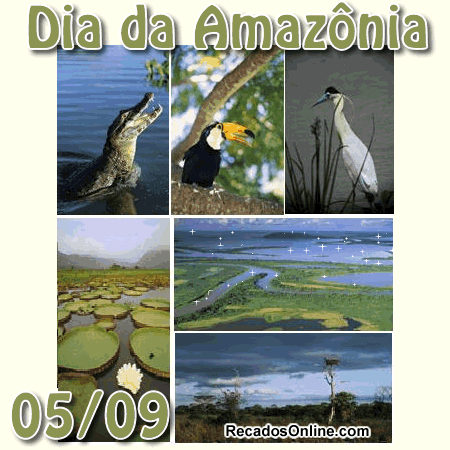 Dia da Amazônia 05/09.