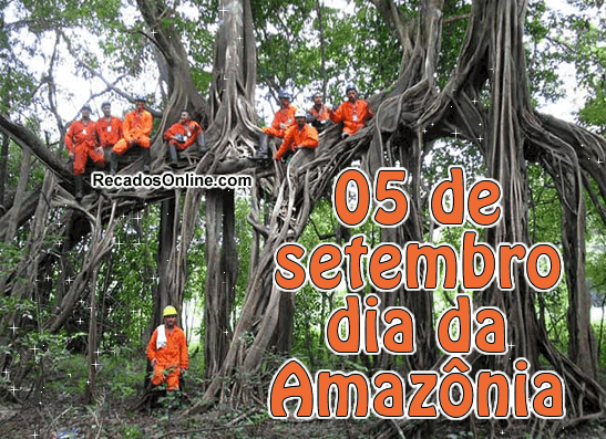 05 de setembro Dia Da Amazônia.