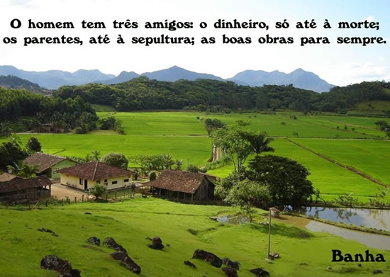 O homem tem três amigos: o dinheiro, só até à...