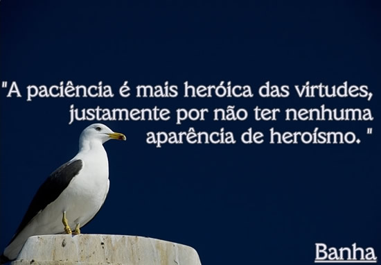 A paciência é mais heróica das virtudes, justamente por...