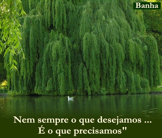 Nem sempre o que desejamos... é o que precisamos