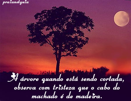 A árvore quando está sendo cortada, observa com tristeza que o...