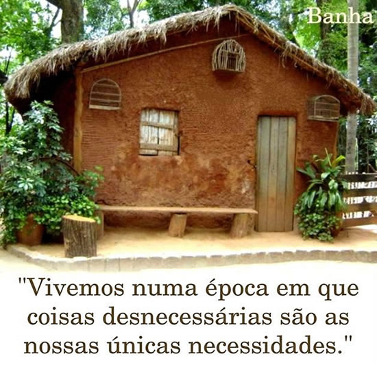 Vivemos numa época em que coisas desnecessárias são...