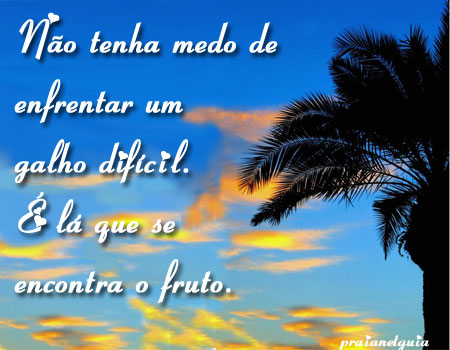 Não tenha medo de enfrentar um galho difícil. É...