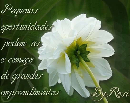 Pequenas oportunidades podem ser o começo de grandes empreendimentos.