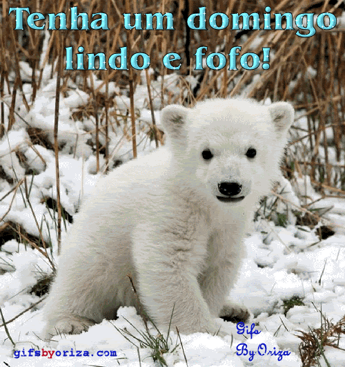 Tenha um domingo lindo e fofo!