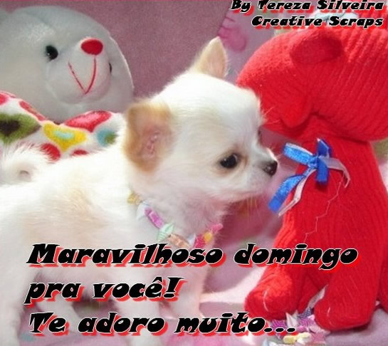Maravilhoso domingo pra você! Te adoro muito...