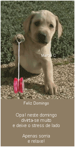 Feliz Domingo Opa! Neste domingo divirta-se muito e deixe o stress de lado...
