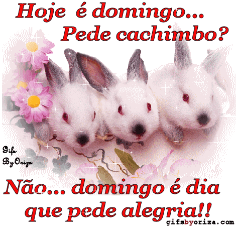 Hoje é Domingo... Pede cachimbo? Não... Domingo é dia...