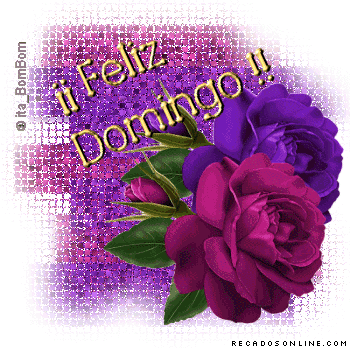 Feliz Domingo!