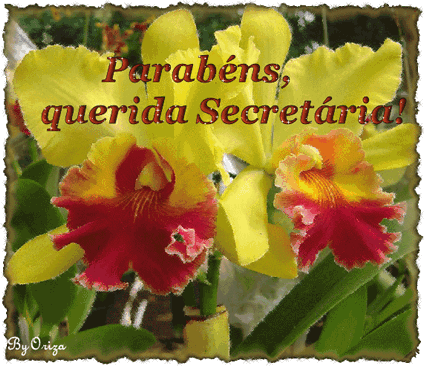 Parabéns, Querida Secretária.