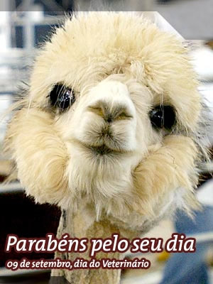Parabéns pelo seu dia. 09 de Setembro, Dia do Veterinário.