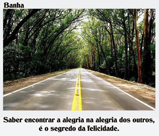Saber encontrar a alegria dos outros, é o segredo da felicidade.