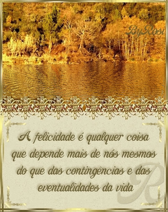 A felicidade é qualquer coisas que depende mais de nós mesmos...