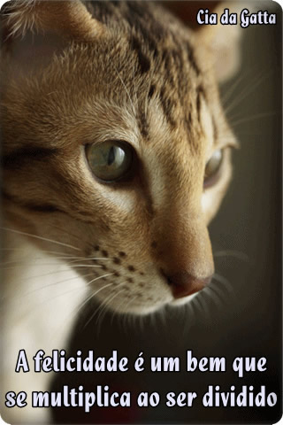 A felicidade é um bem que se multiplica ao ser dividido.