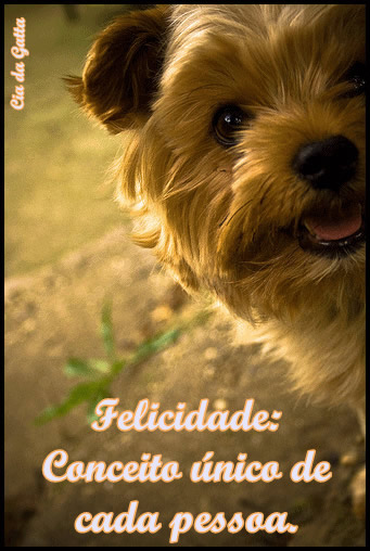 Felicidade: Conceito único de cada pessoa.