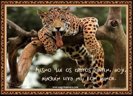 Mesmo que os chatos tentem, hoje, ninguém leva meu bom humor.