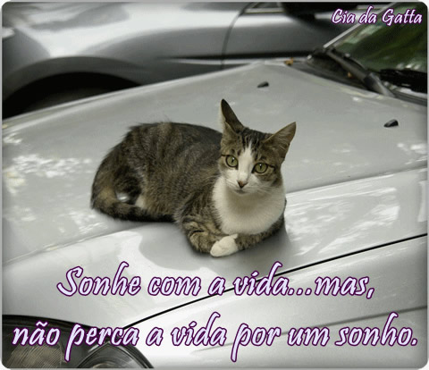 Sonhe com a vida... mas, não perca a vida por um sonho.