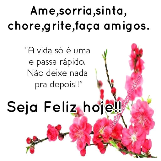 Ame, sorria, sinta, chore, grite, faça amigos. A vida só...