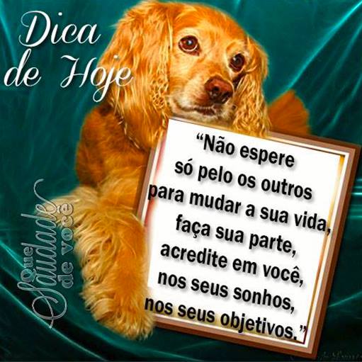 Dica de Hoje; Não espere só pelos outros para mudar a sua...